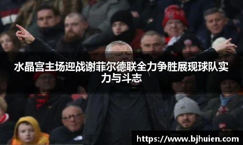 水晶宫主场迎战谢菲尔德联全力争胜展现球队实力与斗志